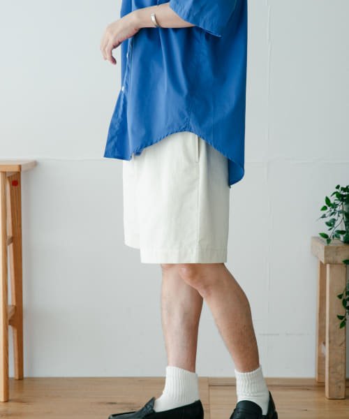 ITEMS URBANRESEARCH(アイテムズアーバンリサーチ（メンズ）)/2－tuck チノショートパンツ/img06