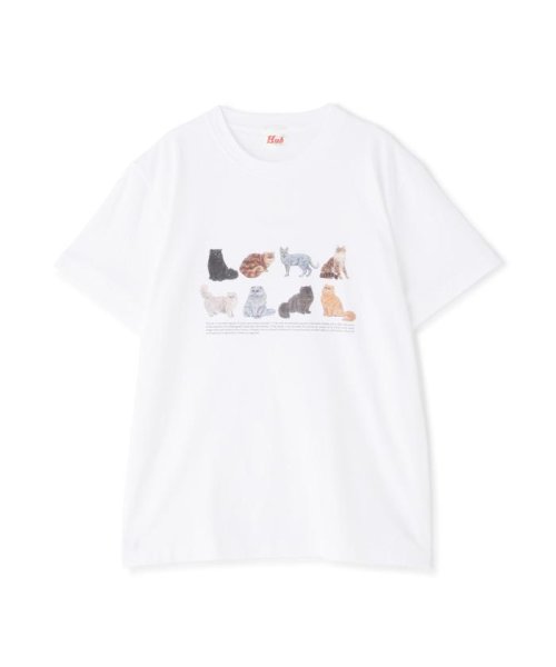 BEAVER(ビーバー)/Hub PRODUCTS/ハブプロダクツ　CAT/DOG TEE/img03