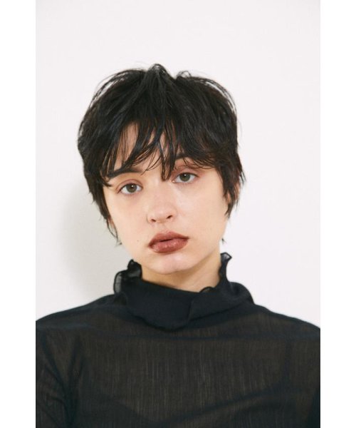 BLACK BY MOUSSY(ブラックバイマウジー)/mesh highneck tops/img15