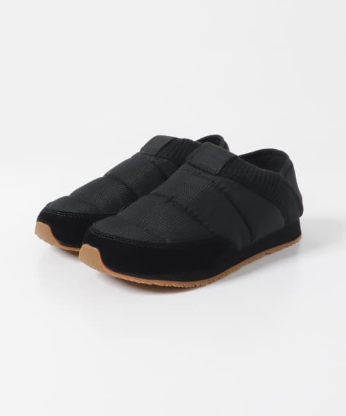  Teva　REEMBER 2