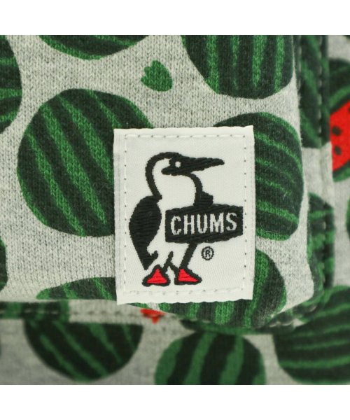 CHUMS(チャムス)/【日本正規品】チャムス リュック CHUMS Kid's Hurricane Day Pack Sweat デイパック キッズ CH60－2764/img20