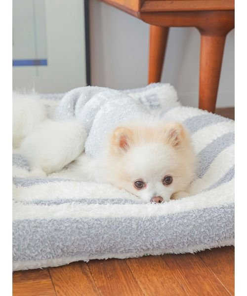 GELATO PIQUE CAT＆DOG(GELATO PIQUE CAT＆DOG)/【CAT&DOG】【販路限定商品】ジェラートソファ型ベッド/img05
