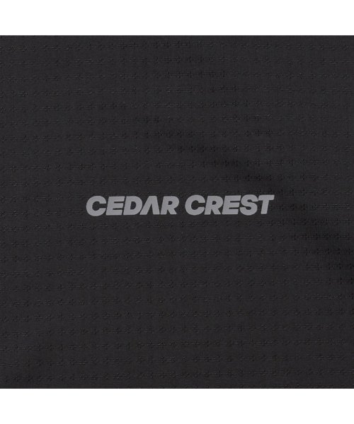 MAC HOUSE(women)(マックハウス（レディース）)/CEDAR CREST セダークレスト 超冷感変形メッシュレイヤードTシャツ 2071470L/img14