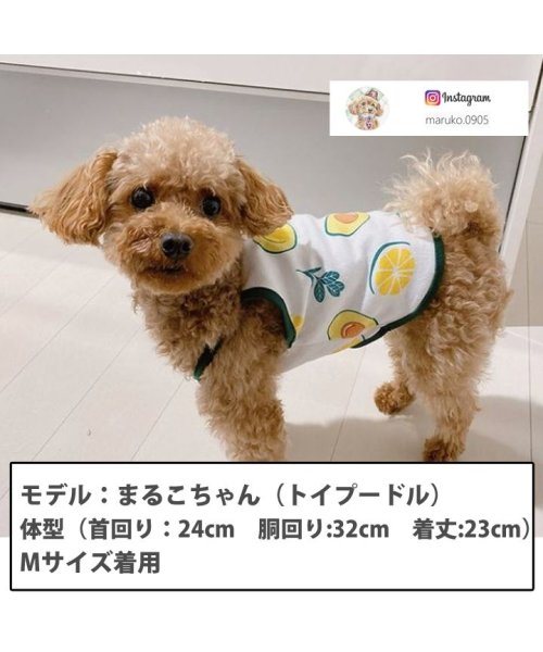 HAPPY DOG!!(はっぴーDOG！！)/トイプードル 犬 服 犬服 いぬ 犬の服 キャミソール 袖なし 袖無し フルーツ柄 ドッグウェア 【春 夏 春夏 春服 夏服 春物 夏物 夏用】/img02