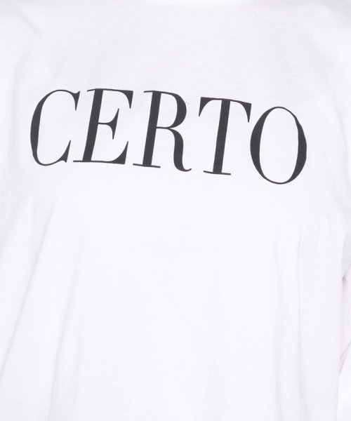 MICA&DEAL(マイカアンドディール)/"CERTO"pt T－shirt/img13