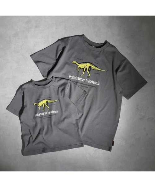 福井県立恐竜博物館コラボ 恐竜フラッシュtシャツ 大人 ブリーズ Breeze Magaseek