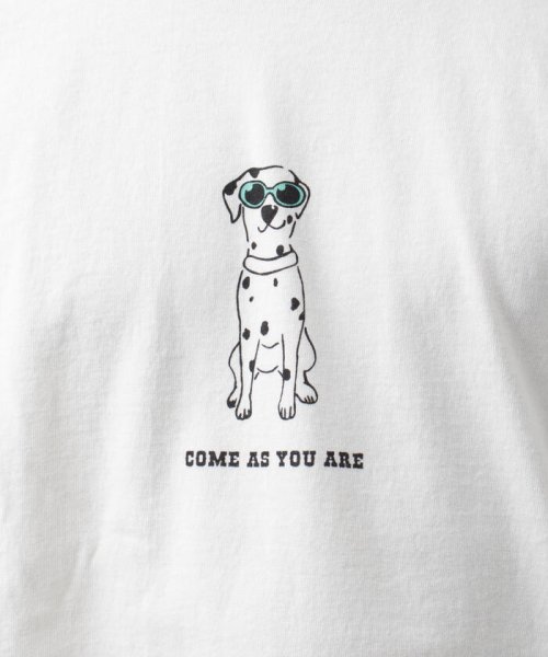 NOLLEY’S goodman(ノーリーズグッドマン)/【Barns outfitters】別注ロンT「come as you are」 犬 Tシャツ/img16