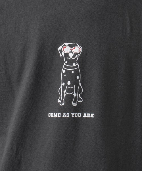 NOLLEY’S goodman(ノーリーズグッドマン)/【Barns outfitters】別注ロンT「come as you are」 犬 Tシャツ/img18