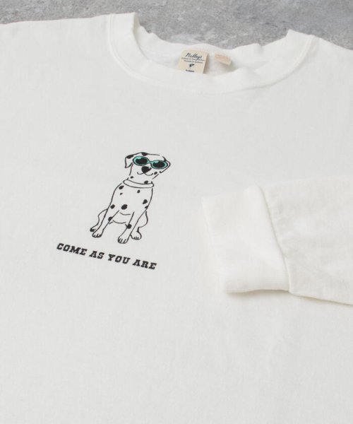 NOLLEY’S goodman(ノーリーズグッドマン)/【Barns outfitters】別注ロンT「come as you are」 犬 Tシャツ/img19