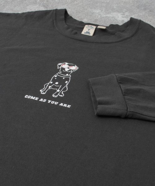 NOLLEY’S goodman(ノーリーズグッドマン)/【Barns outfitters】別注ロンT「come as you are」 犬 Tシャツ/img20