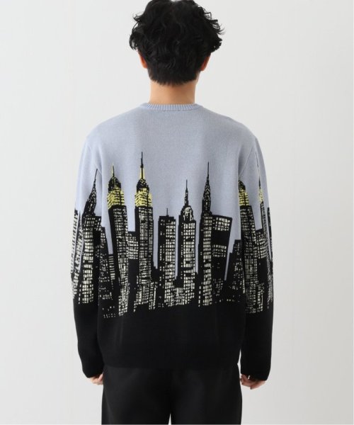 JOINT WORKS(ジョイントワークス)/【HUF / ハフ】 SKYLINE CREW SWEATER/img13