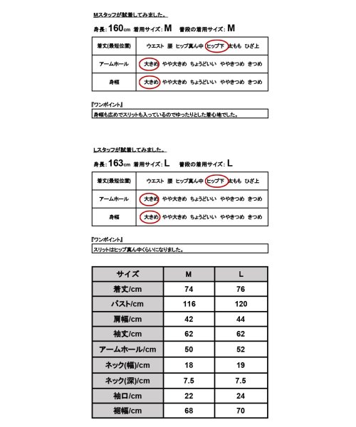 and it_(アンドイット)/アシンメトリーケープカラーエステルピーチブラウス ブラウス レディース 長袖 オフィス トップス シャツ おしゃれ 秋冬 シンプル 大人 きれいめ ゆったり 楽/img03