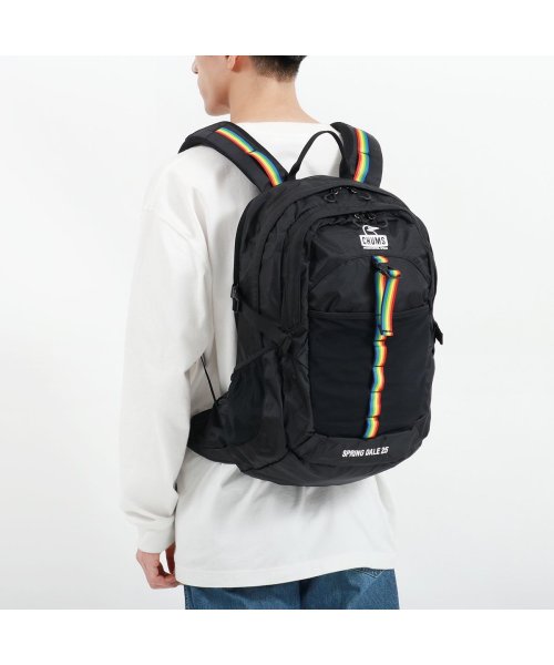CHUMS(チャムス)/【日本正規品】CHUMS チャムス リュックサック Spring Dale 25 2 バックパック ウエストバッグ 2WAY 25L CH60－2216/img06