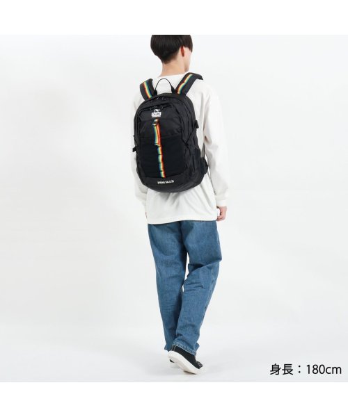 CHUMS(チャムス)/【日本正規品】CHUMS チャムス リュックサック Spring Dale 25 2 バックパック ウエストバッグ 2WAY 25L CH60－2216/img07