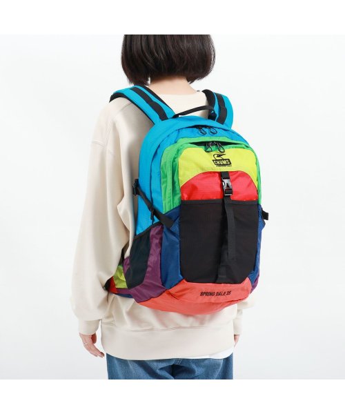 CHUMS(チャムス)/【日本正規品】CHUMS チャムス リュックサック Spring Dale 25 2 バックパック ウエストバッグ 2WAY 25L CH60－2216/img08
