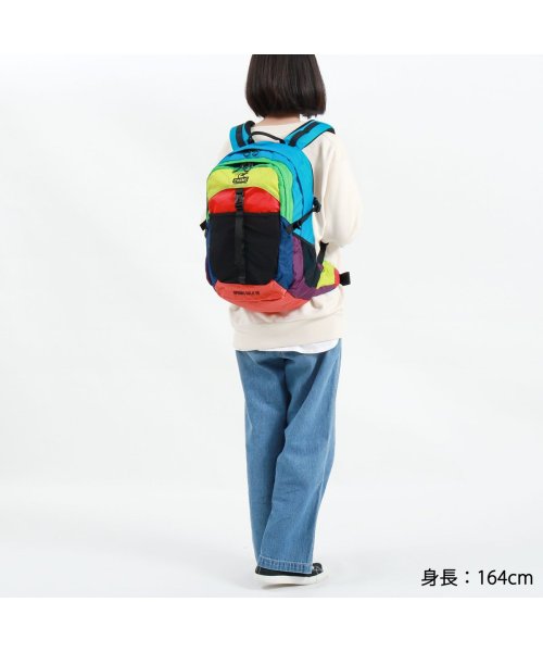 CHUMS(チャムス)/【日本正規品】CHUMS チャムス リュックサック Spring Dale 25 2 バックパック ウエストバッグ 2WAY 25L CH60－2216/img09