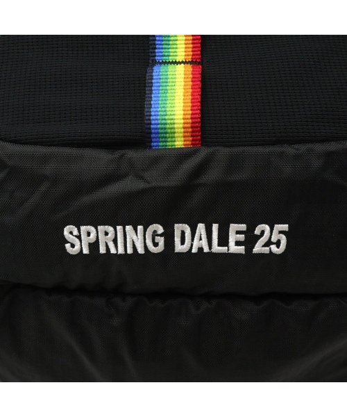 CHUMS(チャムス)/【日本正規品】CHUMS チャムス リュックサック Spring Dale 25 2 バックパック ウエストバッグ 2WAY 25L CH60－2216/img30