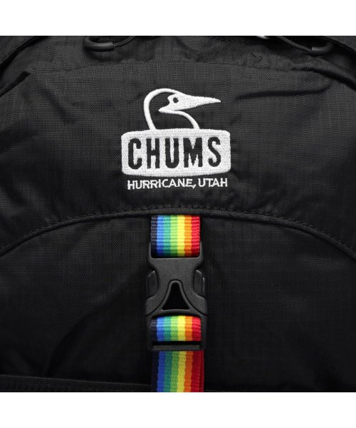 CHUMS(チャムス)/【日本正規品】CHUMS チャムス リュックサック Spring Dale 25 2 バックパック ウエストバッグ 2WAY 25L CH60－2216/img31