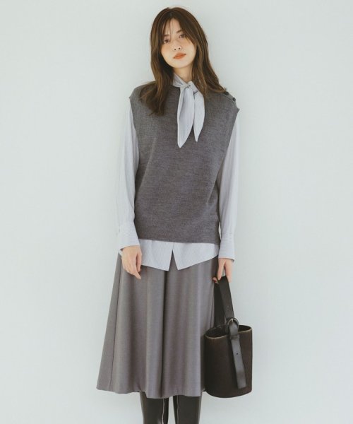 J.PRESS LADIES（LARGE SIZE）(J．プレス　レディス（大きいサイズ）)/【洗える】DRALON MERINO ニットベスト/img01