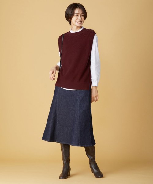 J.PRESS LADIES（LARGE SIZE）(J．プレス　レディス（大きいサイズ）)/【洗える】DRALON MERINO ニットベスト/img06