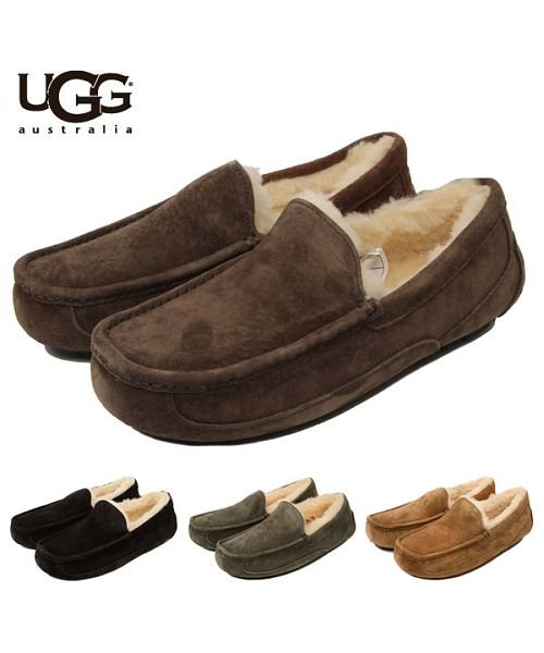 BACKYARD FAMILY(バックヤードファミリー)/アグ オーストラリア UGG Australia MEN'S M Ascot #5775/img01