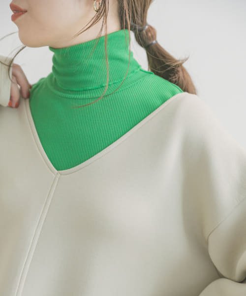 ITEMS URBANRESEARCH(アイテムズ アーバンリサーチ（レディース）)/『UR GREEN』タートルネックリブトップス/img14