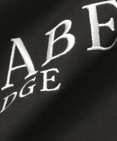 BLACK LABEL CRESTBRIDGE(BLACK LABEL CRESTBRIDGE)/【WEB限定】ロゴエンブロイダリーラックスフーディー/img11