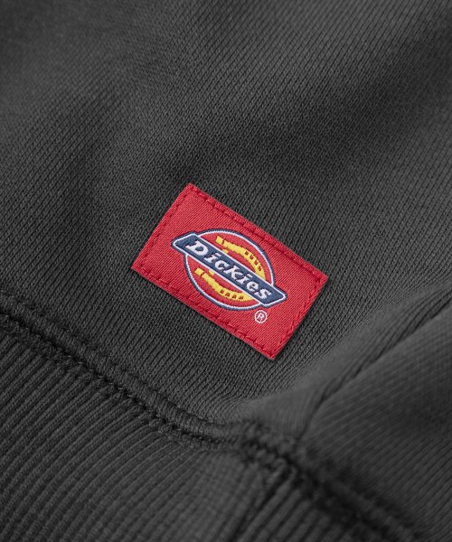 Dickies(Dickies)/【Dickies/ディッキーズ】サテンワッペン刺繍 ビッグカレッジロゴ スウェット/スタジアムロゴトレーナー/ビッグシルエット/裏毛/img06