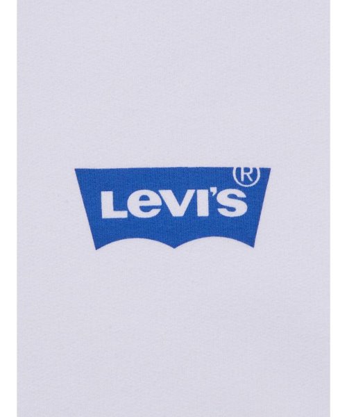Levi's(リーバイス)/リラックスフィット グラフィックフーディー MOUNTAINS/img06