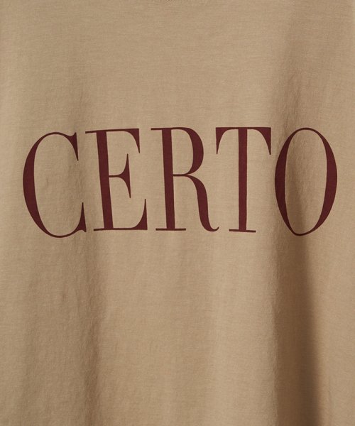 MICA&DEAL(マイカアンドディール)/"CERTO"pt T－shirt/img08
