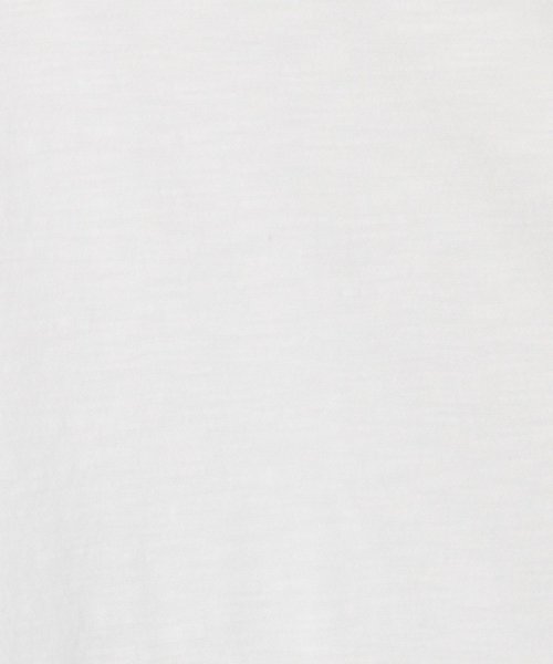 JAMES PERSE(JAMES PERSE)/コットンスラブジャージー ソフトVネックTシャツ WUA3705/img10