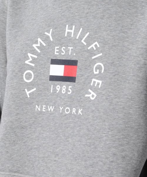 TOMMY HILFIGER(トミーヒルフィガー)/フラッグロゴアーチパーカー/img21