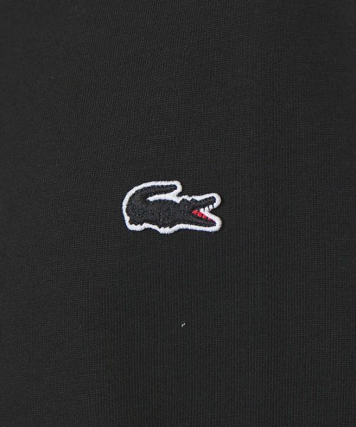 ABAHOUSE(ABAHOUSE)/【LACOSTE】アウトライン クロック ロングスリーブ Tシャツ/img13