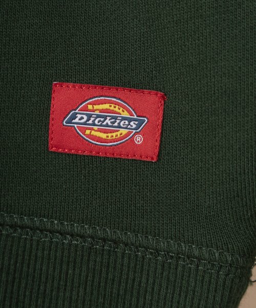 Dickies(Dickies)/【Dickies】 ディッキーズ サテンワッペン刺繍 ビッグカレッジロゴ スウェット/アメカジ/ストリート/ビッグシルエット/22AW/img08