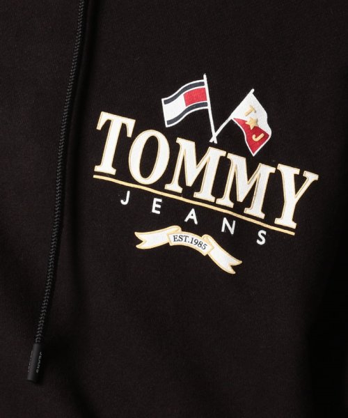 TOMMY JEANS(トミージーンズ)/スケータープレップバックパーカー/img20