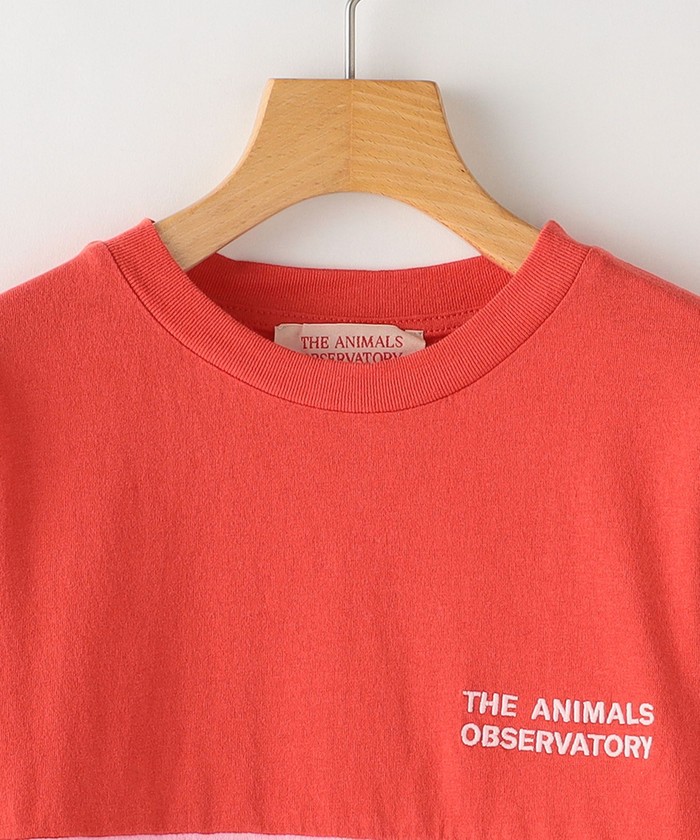 セール】The Animals Observatory:100～120cm / Bicolor Dog Kids T