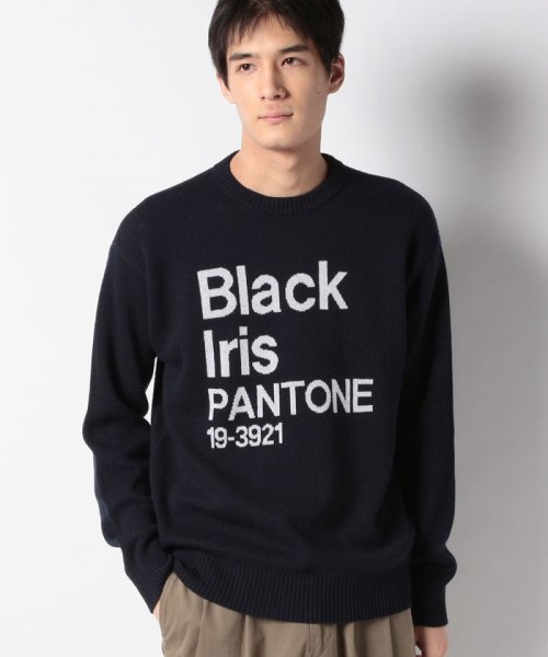 BENETTON (mens)(ベネトン（メンズ）)/クルーネックデザインニット・セーター/img26