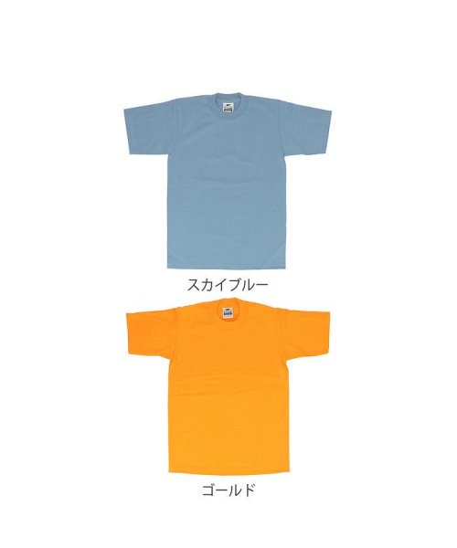 BACKYARD FAMILY(バックヤードファミリー)/PRO CLUB プロクラブ 101 半袖 クルーネック HEAVY WEIGHT Tシャツ/img13