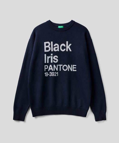 BENETTON (mens)(ベネトン（メンズ）)/クルーネックデザインニット・セーター/img24