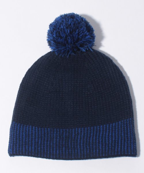 DESCENTE(デサント)/【SKI】ニットキャップ / WOMEN'S KNIT CAP/img01