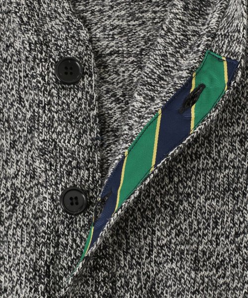J.PRESS MENS(J．プレス　メンズ)/【120th anniversary】British Pure Wool Regimental Cardigan/img10