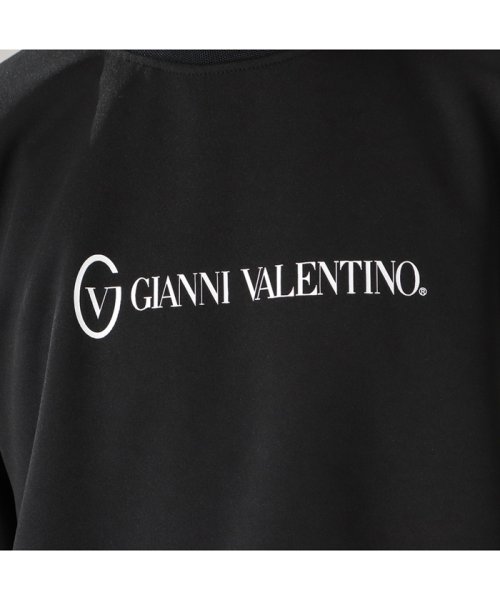 MAC HOUSE(men)(マックハウス（メンズ）)/GIANNI VALENTINO ジャンニバレンチノ ロゴトレーナー 2478－2451/img08
