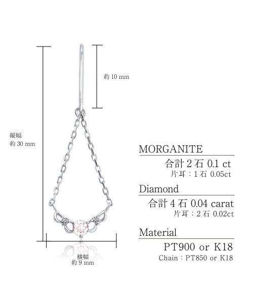 LARA Christie(ララクリスティー)/ララクリスティー ピアス レディース モルガナイト 0.1ct ダイヤモンド フック ピアス PT900 K18 ゴールド プラチナム コレクション le102/img02