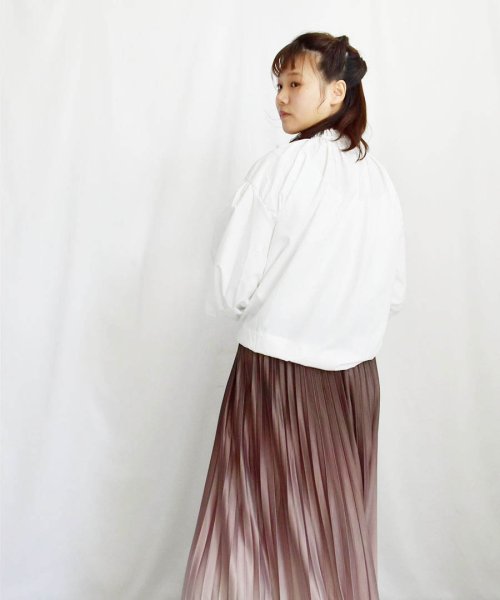 ARGO TOKYO(アルゴトウキョウ)/Discolor Accordion Pleats Skirt 222018 変色アコーデイオンプリーツスカート/img07