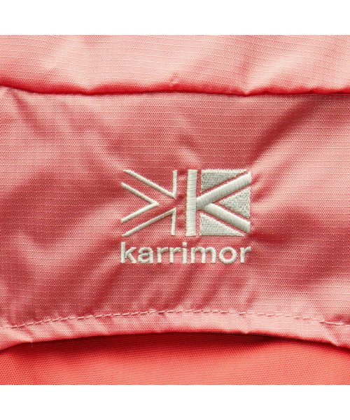 Karrimor(カリマー)/カリマー リュック Karrimor ridge 30+ Small 30L+ リュックサック バックパック ザック 登山 メンズ レディース 501099/img48