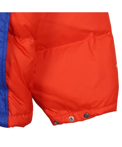 THE NORTH FACE(ザノースフェイス)/ノースフェイス THE NORTH FACE ダウンジャケット カラー ブロック シエラ パーカー メンズ COLOR BLOCK SIERRA PARKA オ/img10