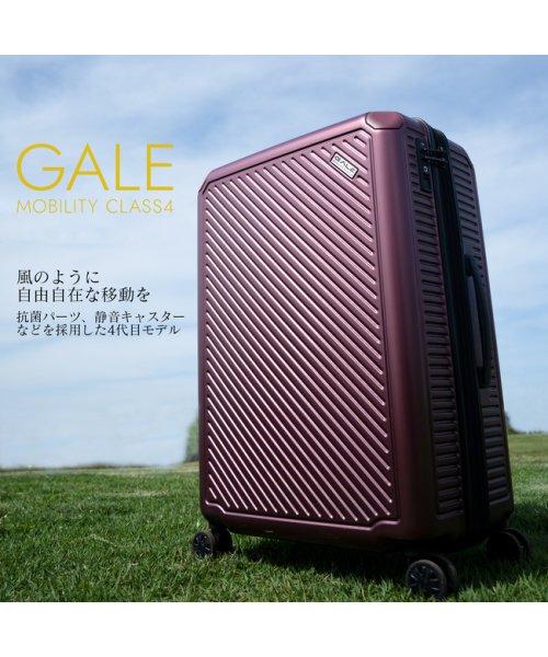 ASIA LUGGAGE(アジアラゲージ)/アジアラゲージ ガーレ スーツケース 機内持ち込み Sサイズ SS 36L 44L 拡張機能付き 静音 軽量 GALE ALI－6020－18W キャリーケース/img02