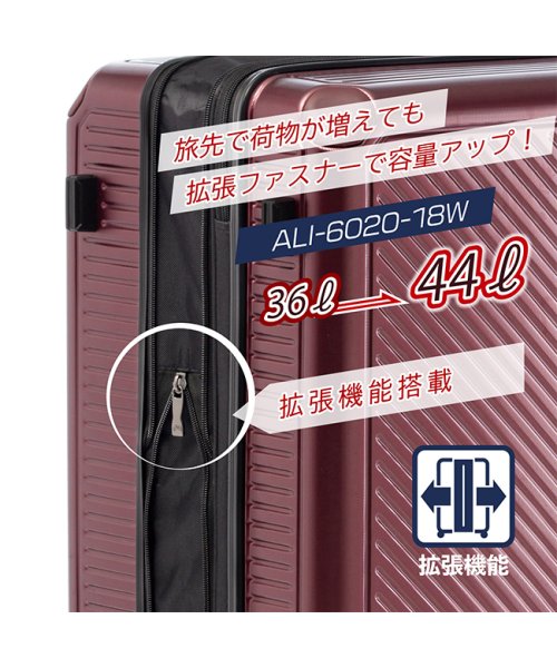 ASIA LUGGAGE(アジアラゲージ)/アジアラゲージ ガーレ スーツケース 機内持ち込み Sサイズ SS 36L 44L 拡張機能付き 静音 軽量 GALE ALI－6020－18W キャリーケース/img05