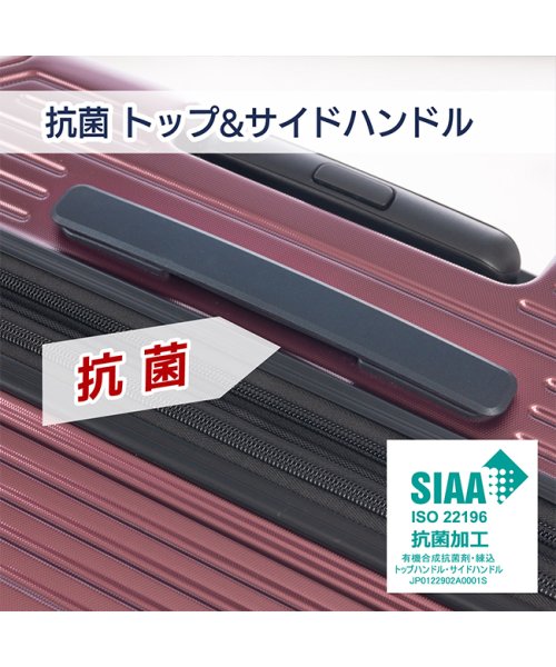 アジアラゲージ ガーレ スーツケース Mサイズ Lサイズ 68L 80L 拡張機能付き 大型 大容量 軽量 GALE ALI－6020－24W キャリーケース バッグ キャリーバッグ・スーツケース E1501206746(11550円)