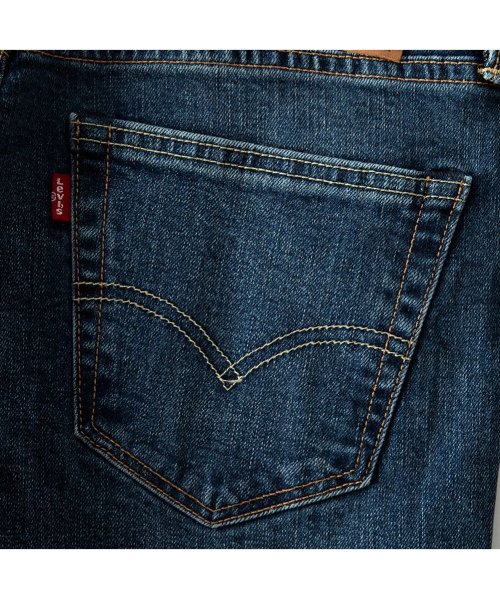  GENELESS(GENELESS)/ジーパン デニム メンズ リーバイス 541 Levis デニムパンツ ジーンズ ストレート パンツ/img13